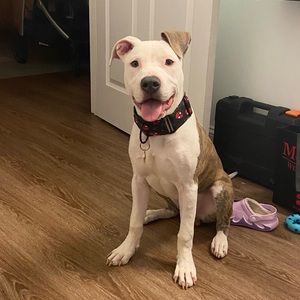 Meet your Posher, Tricia